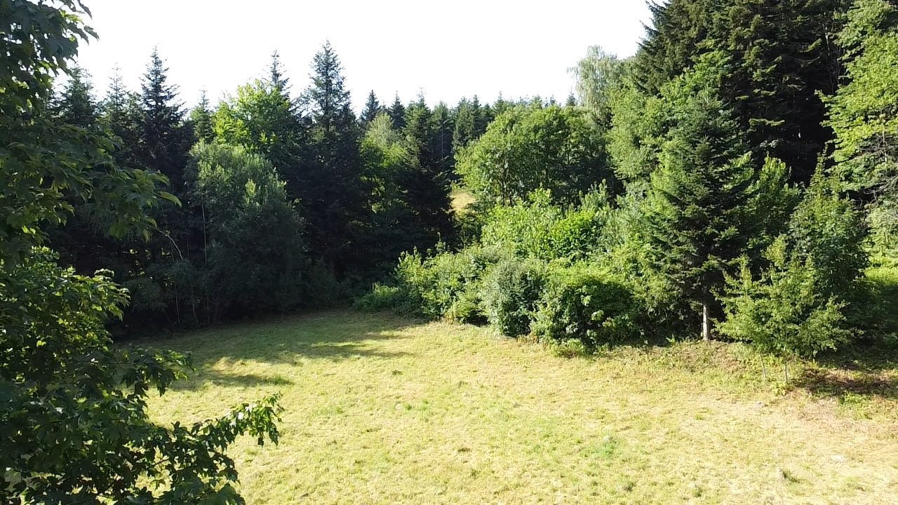 Działka budowlana na sprzedaż Szalowa  3 100m2 Foto 1