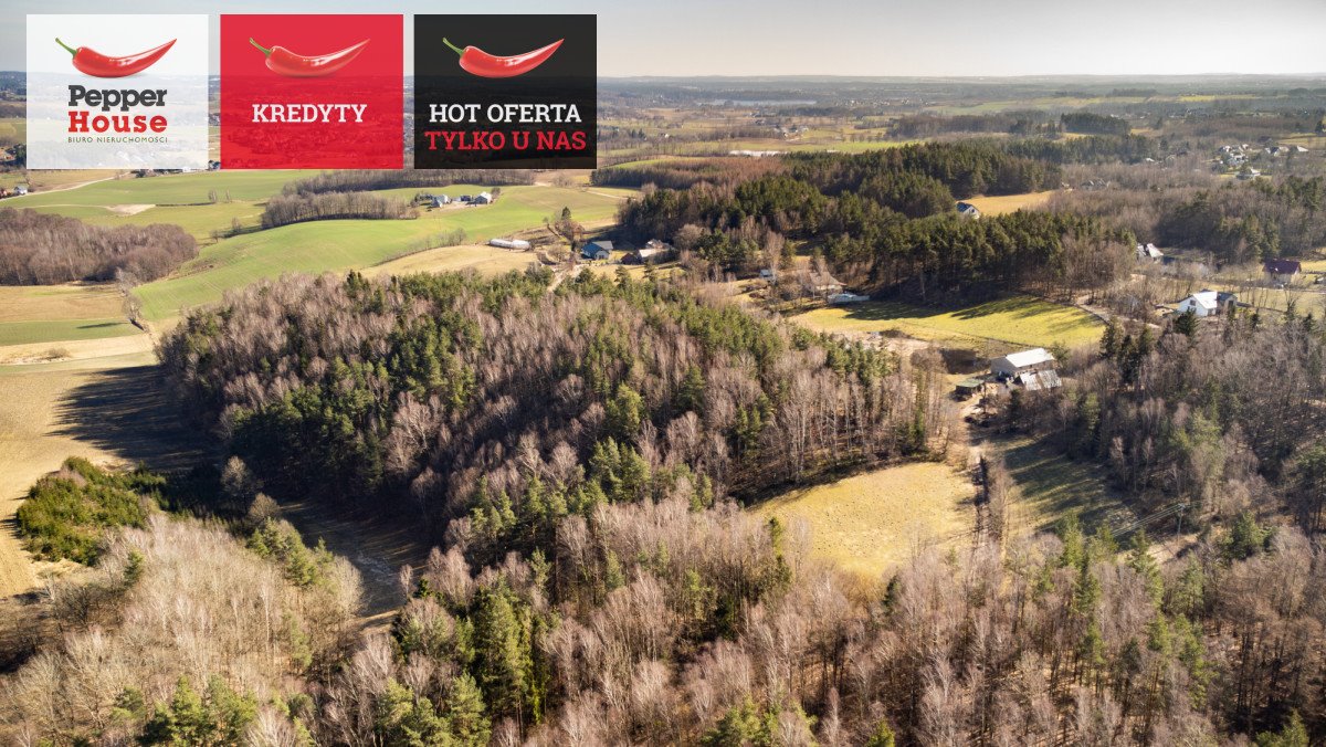 Działka 49 000 m² z warunkami zabudowy i potencjałem inwestycyjnym Kieleńska Huta, Morelowa  49 000m2 Foto 1