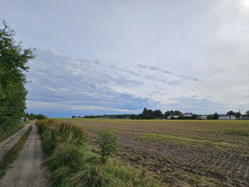 Działka przemysłowo-handlowa na sprzedaż Poznań, Starołęka-Minikowo-Marlewo, Marlewo, Zaborowska  1 072m2 Foto 1