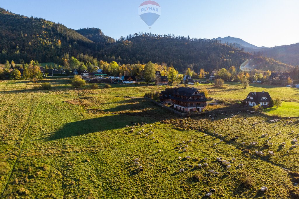 Działka rolna na sprzedaż Kościelisko  2 957m2 Foto 12