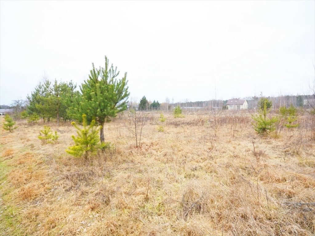 Działka budowlana na sprzedaż Piskórka  3 000m2 Foto 4