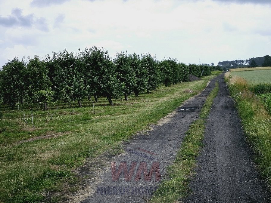 Działka siedliskowa na sprzedaż Jasieniec  39 500m2 Foto 18