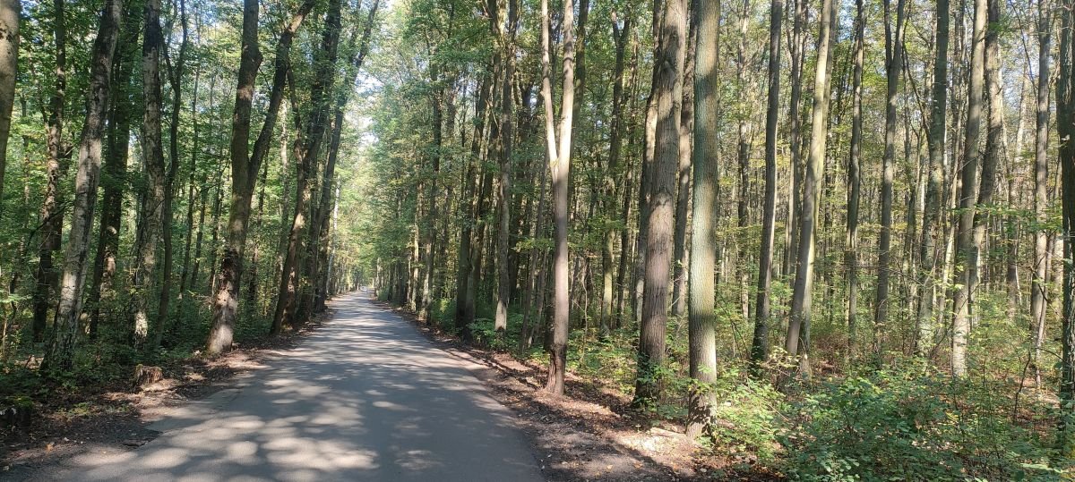 Działka budowlana na sprzedaż Poznań, Nowe Miasto, Zieliniec  707m2 Foto 5