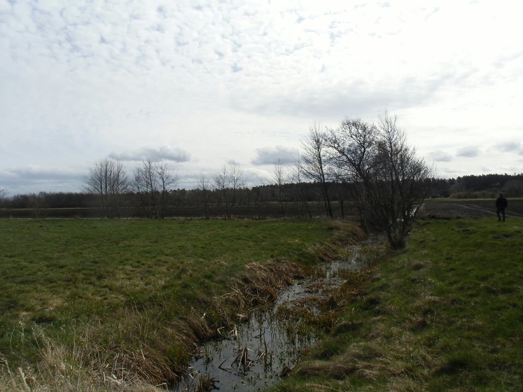 Działka rolna na sprzedaż Karwieńskie Błoto Pierwsze  16 200m2 Foto 5