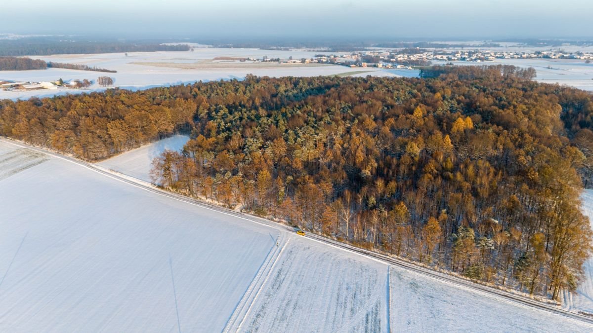 Działka leśna na sprzedaż Łagiewniki Wielkie  9 344m2 Foto 7