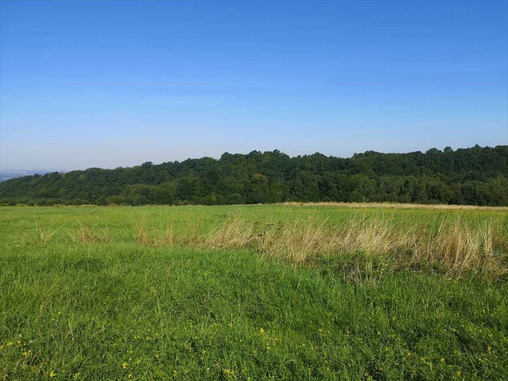 Działka inna na sprzedaż Kłodzko  1 000m2 Foto 5