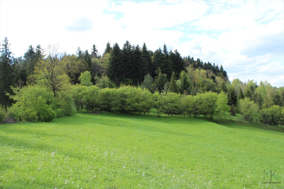 Działka budowlana na sprzedaż Wola Skrzydlańska  3 100m2 Foto 3