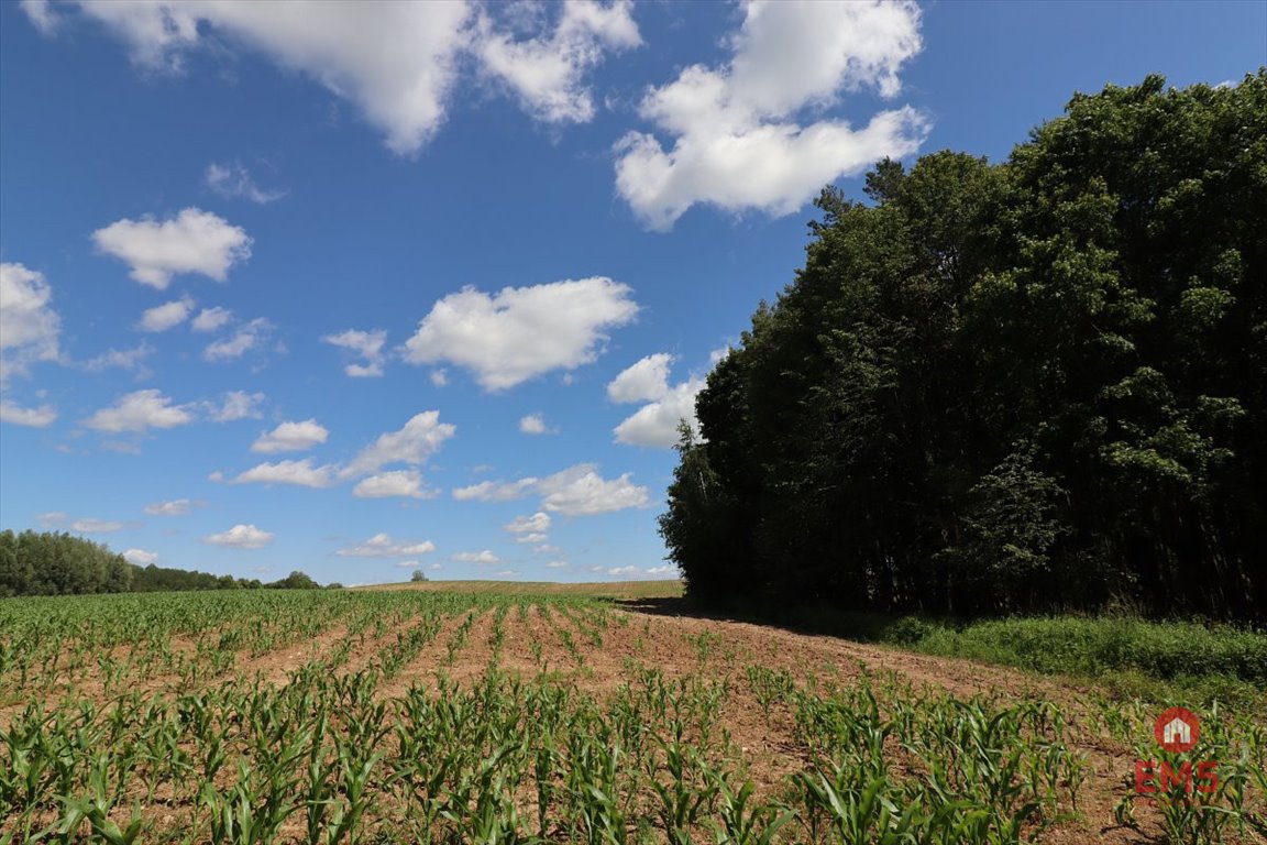 Działka budowlana 1100 m² pod dom w Rożyńsku Wielkim Rożyńsk Wielki  1 100m2 Foto 1