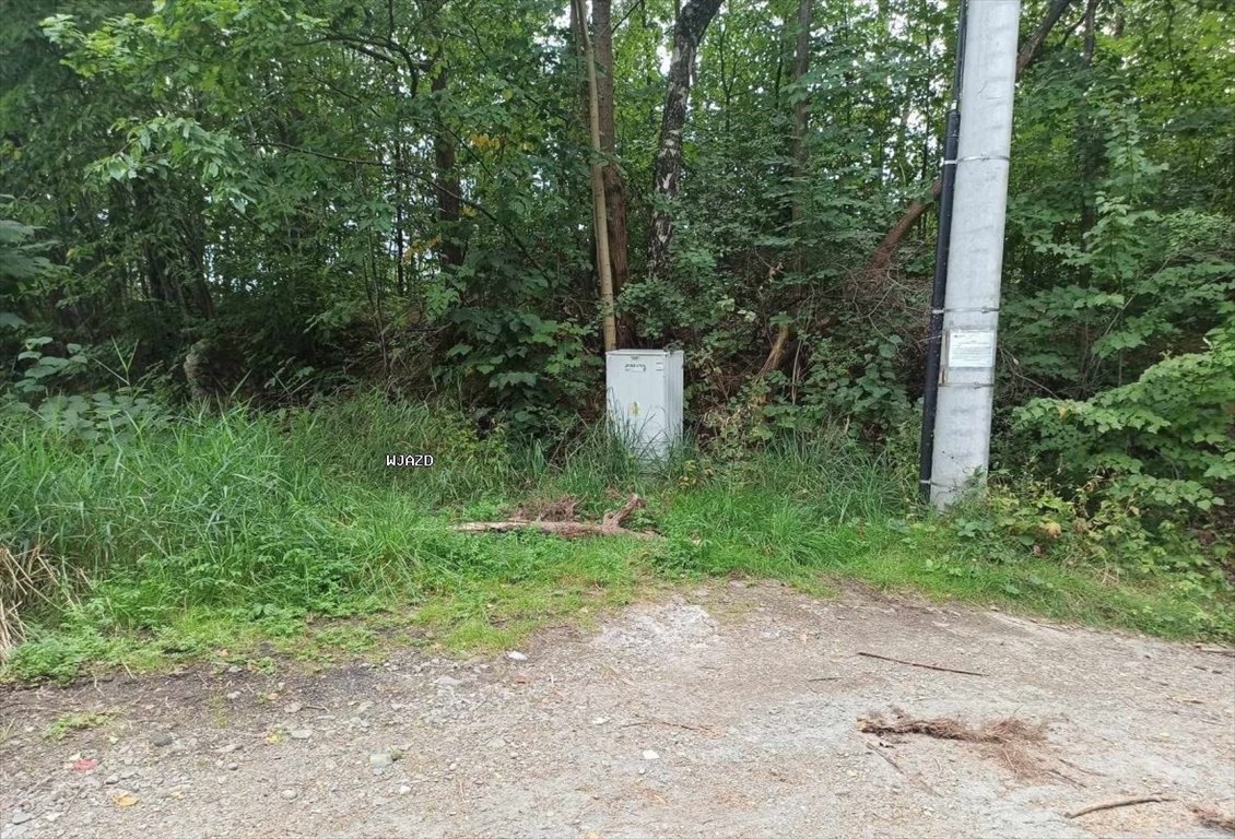 Działka budowlana na sprzedaż Milówka  1 300m2 Foto 2