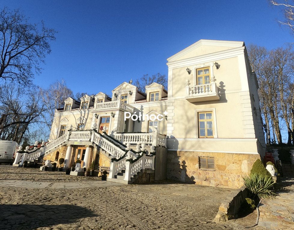 Unikalny pałac z parkiem 1000 m², inwestycja lub hotel - polecam! Ostrowiec Świętokrzyski, Kuźnia  1 000m2 Foto 1