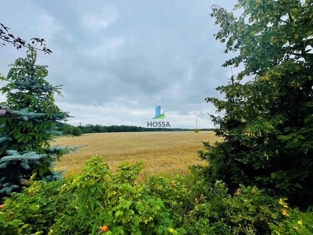 Działka budowlana na sprzedaż Miłkowiec  3 000m2 Foto 13