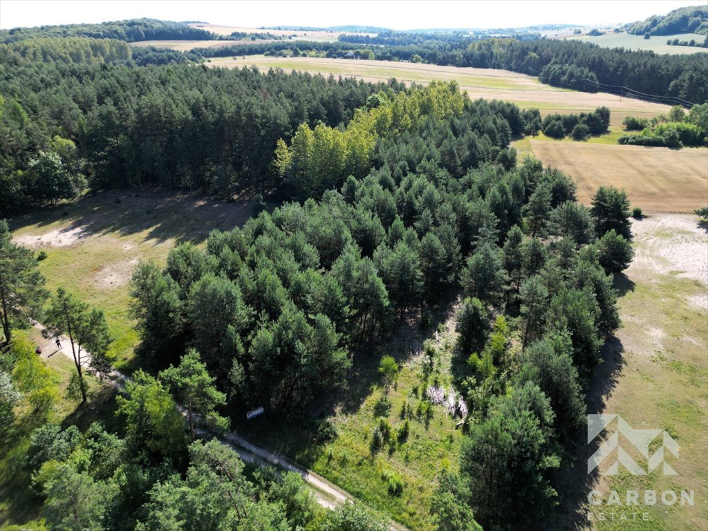 Działka leśna na sprzedaż Kiełkowice, Pielgrzymów  1 710m2 Foto 3