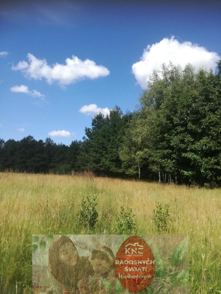 Urokliwa działka rolna 3,18 ha z lasem i dojazdem w Garbatówce Garbatówka  31 800m2 Foto 1