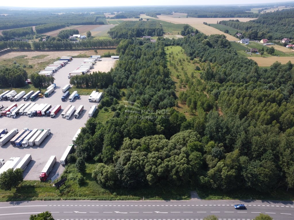 Działka inwestycyjna na sprzedaż Horbów-Kolonia  17 300m2 Foto 2