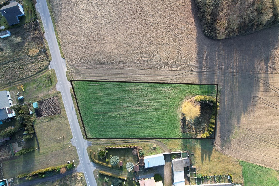 Działka budowlana na sprzedaż Bartodzieje  3 170m2 Foto 6