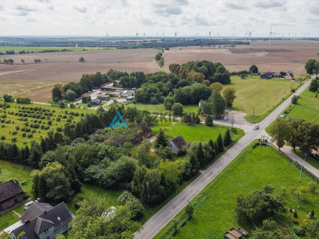 Działka budowlana na sprzedaż Borkowo Lęborskie  7 937m2 Foto 4