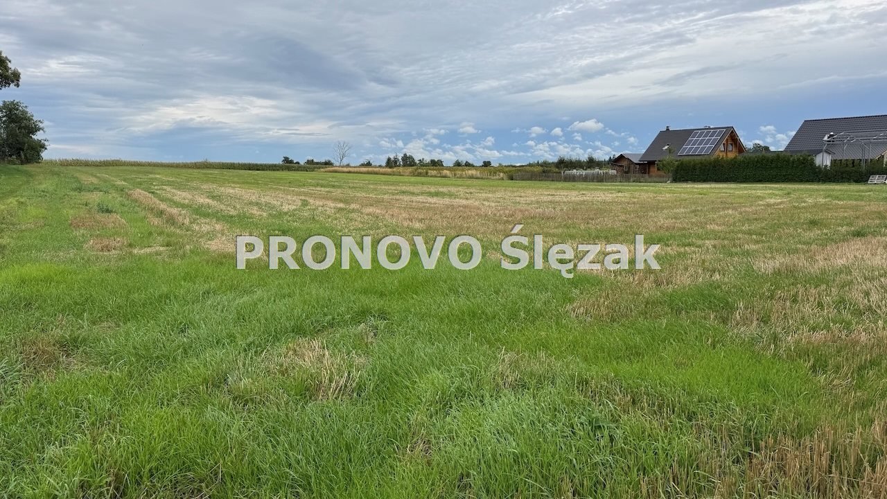 Działka 1,09 ha pod inwestycję w Lutyni - elastyczne warunki Lutynia, Lutynia  10 100m2 Foto 1