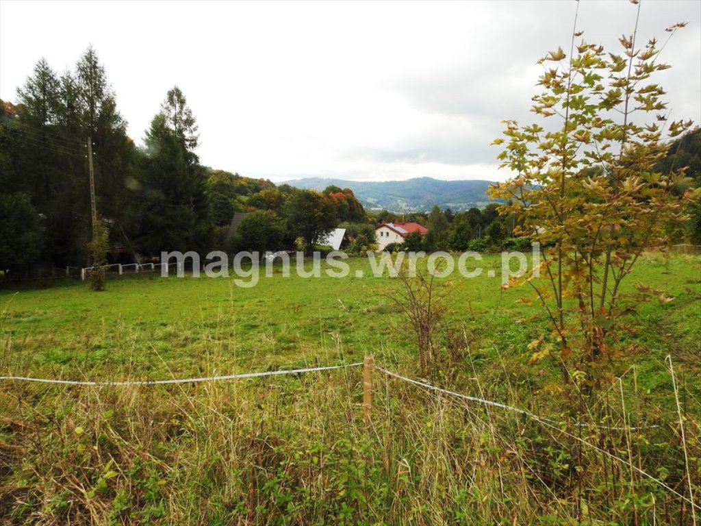 Działka z panoramicznym widokiem w Łomnicy, 2827 m² Łomnica  2 827m2 Foto 1