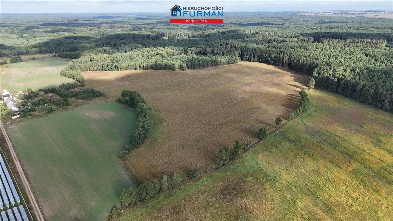 Działka rolna 13,56 ha w otoczeniu lasów - inwestycja Sarcz, Dłużewo  135 645m2 Foto 1