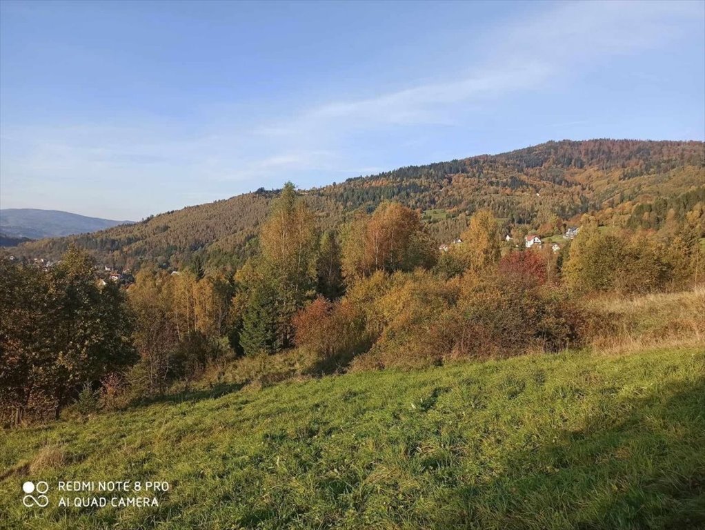 Działka rolna na sprzedaż Rajcza  3 237m2 Foto 8