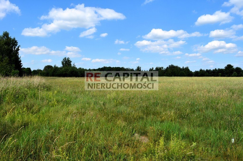 Działka rolna na sprzedaż Wojcieszyn  3 831m2 Foto 1