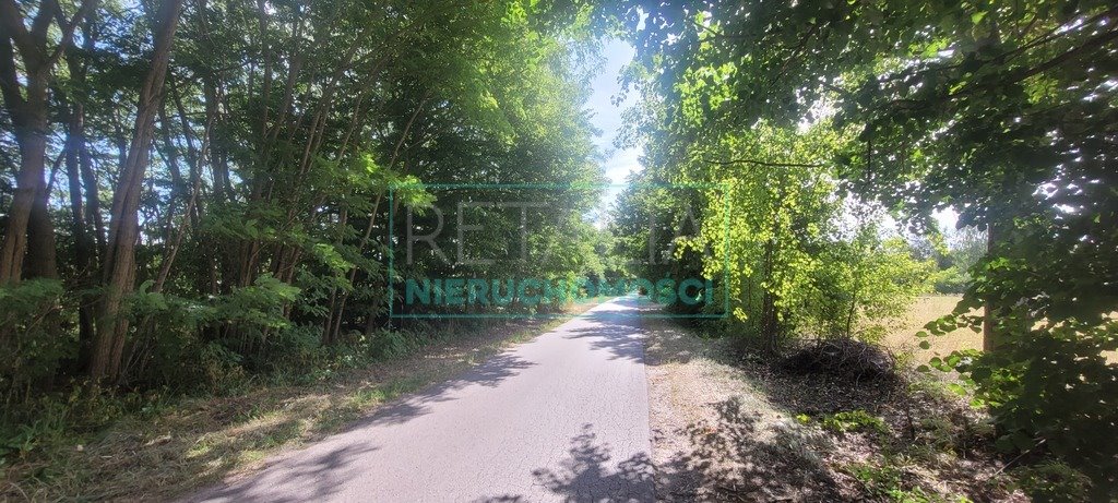 Działka budowlana na sprzedaż Puszcza Mariańska  3 000m2 Foto 1