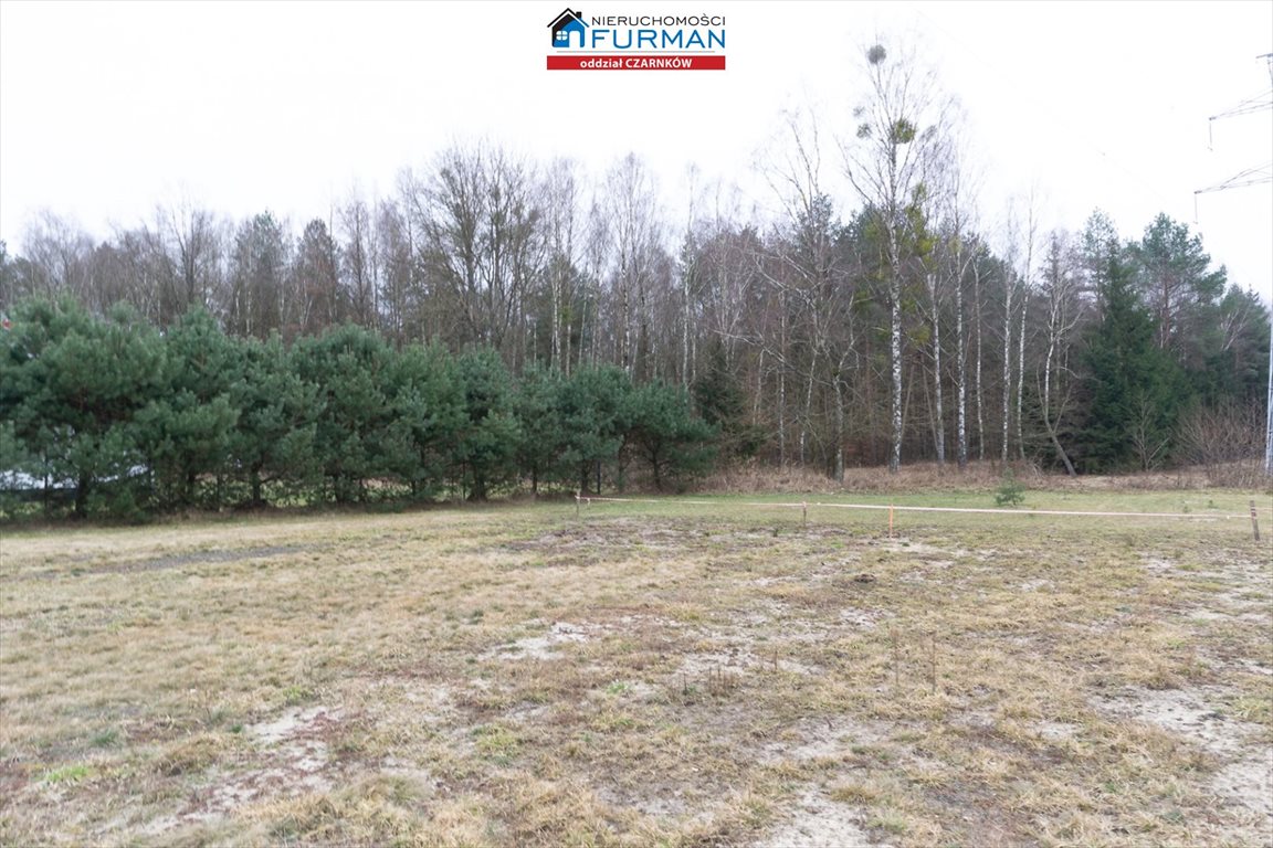 Do sprzedania działka 2933 m² w Klempiczu z lasami i mediami Klempicz  2 933m2 Foto 1