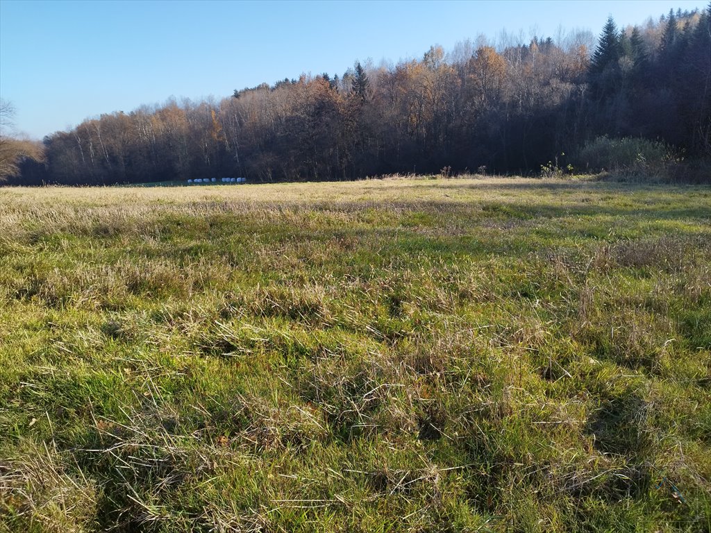 Działka budowlana na sprzedaż Kobylec  1 527m2 Foto 3