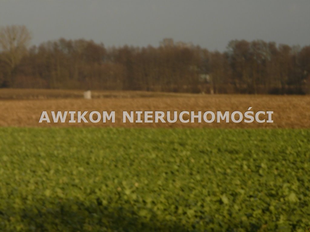 Działka rolna na sprzedaż Nowy Kawęczyn, Nowy Dwór-Parcela  10 900m2 Foto 8