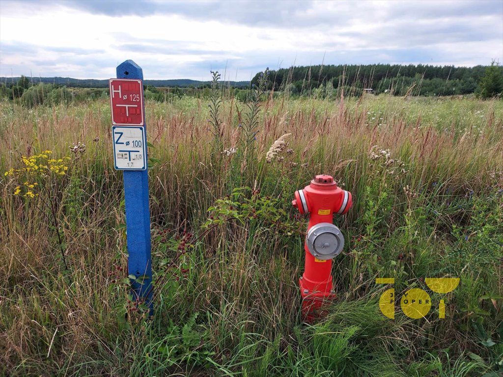 Działka rekreacyjna na sprzedaż Kołczewo, Wartowo  9 848m2 Foto 8