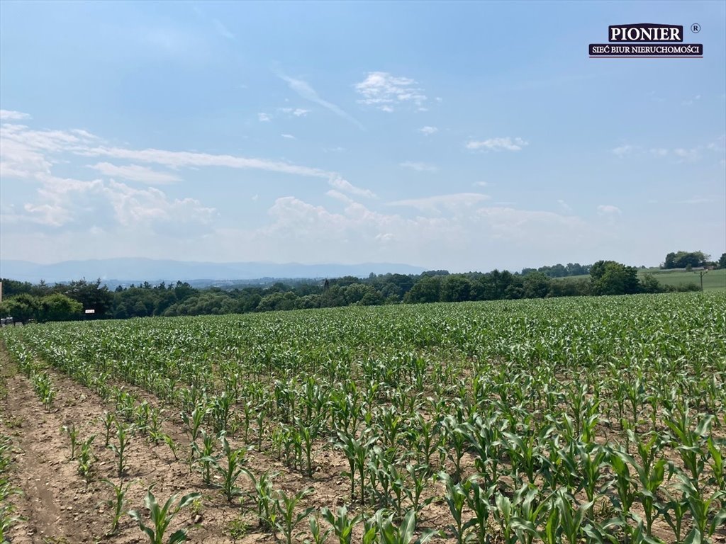 Działka budowlana na sprzedaż Zamarski  14 886m2 Foto 5