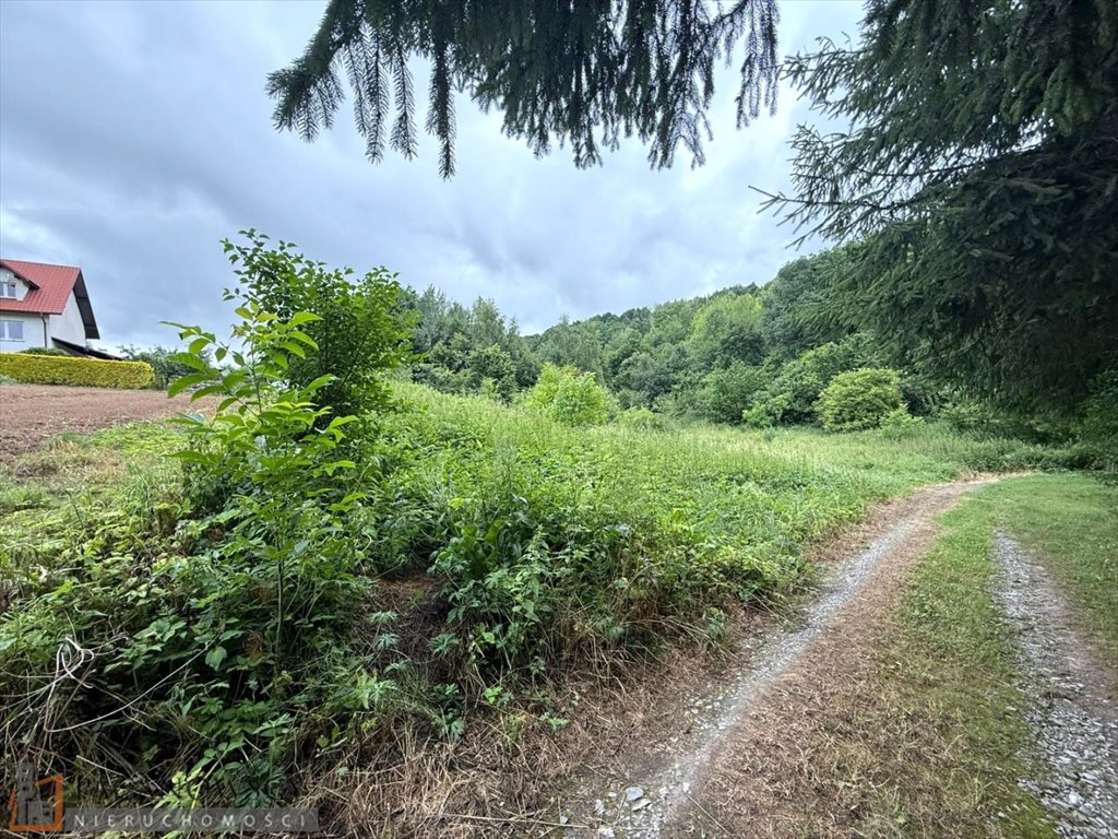 Działka budowlana na sprzedaż Szczodrkowice  1 650m2 Foto 1