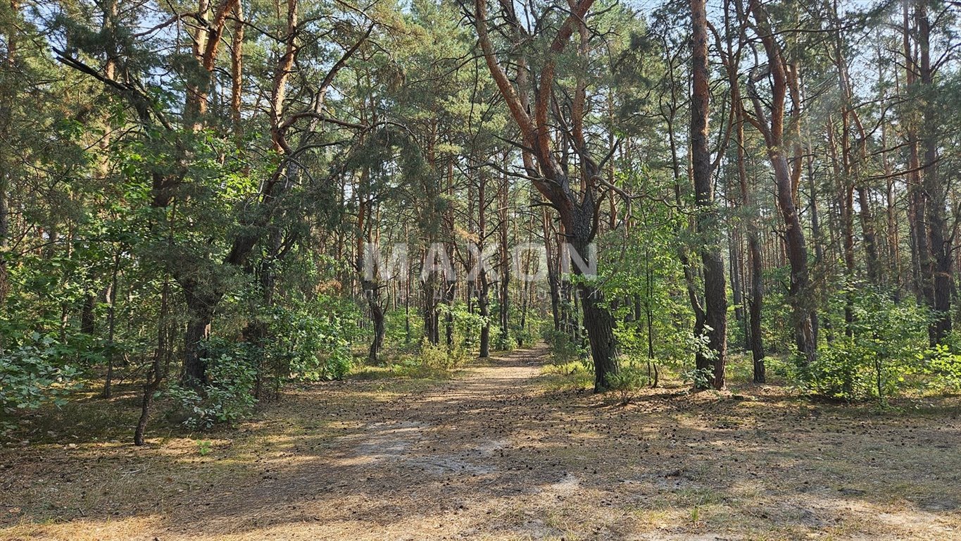 Działka budowlana na sprzedaż Józefów, Michalin  3 814m2 Foto 3