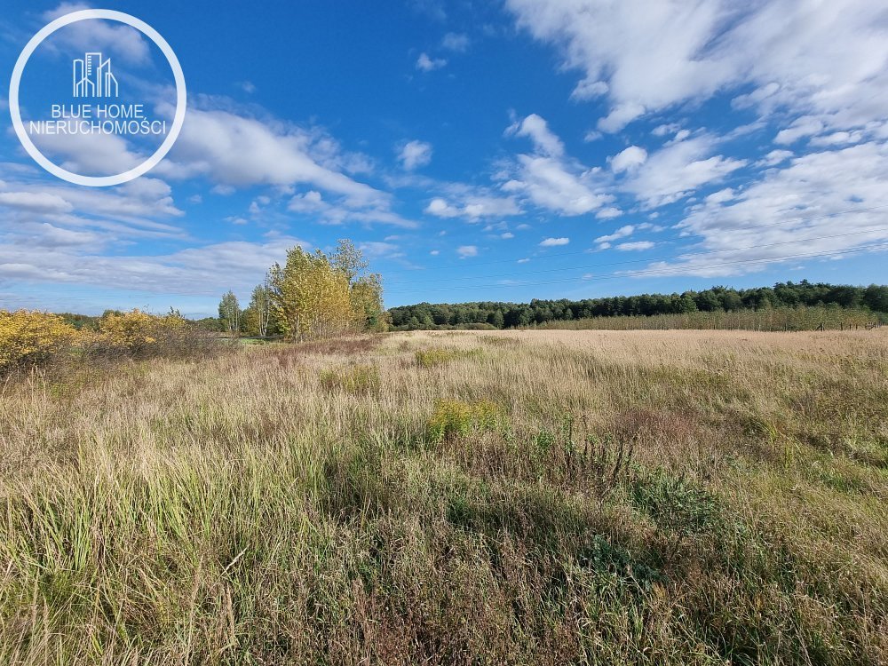 Działka rolna 1,16 ha z wodociągiem i dojazdem asfaltowym. Zalesie Krasieńskie  11 600m2 Foto 1