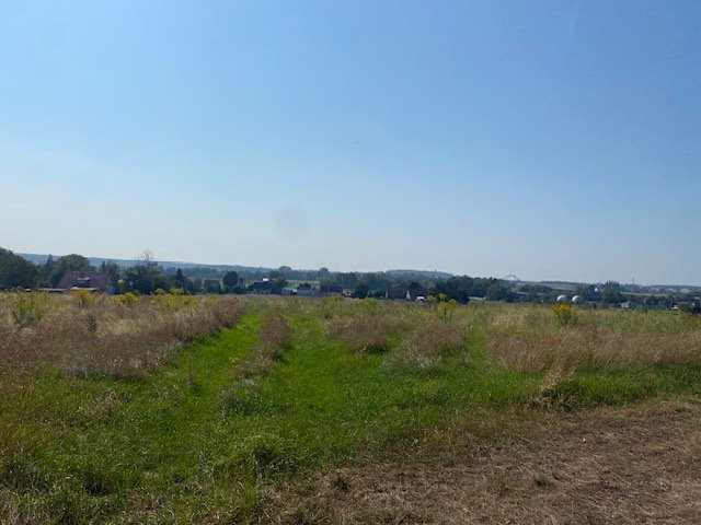 Działka budowlana na sprzedaż Grodziszcze  1 119m2 Foto 3