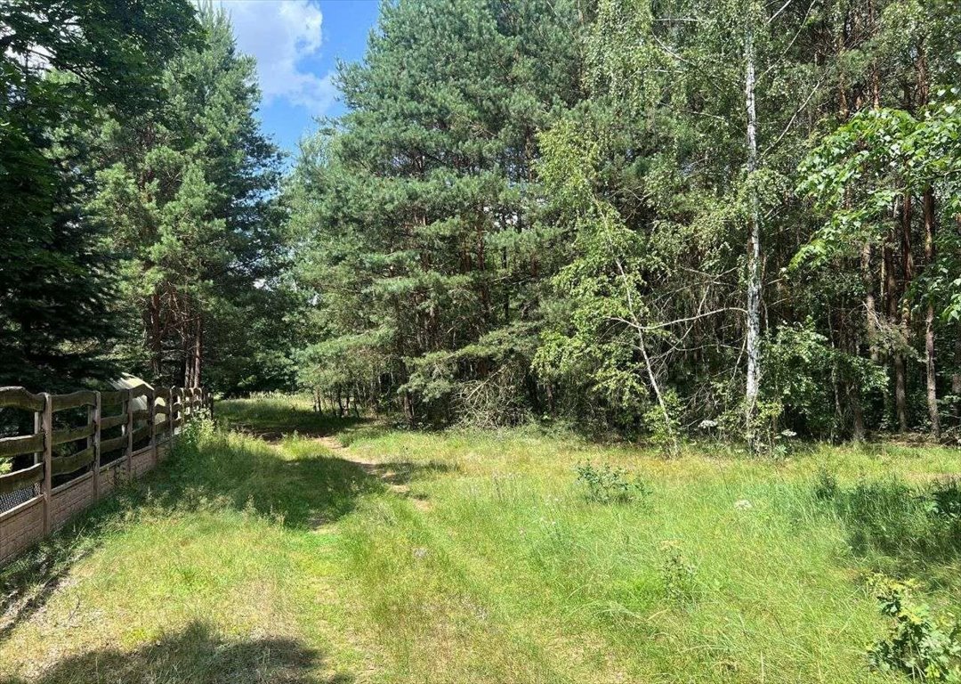 Działka rekreacyjna na sprzedaż Dworszowice Kościelne  780m2 Foto 6