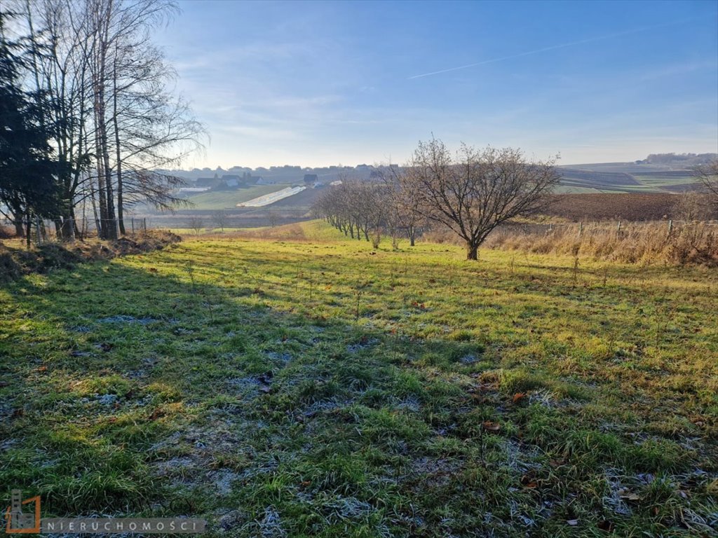 Działka budowlana na sprzedaż Pietrzejowice  1 499m2 Foto 5