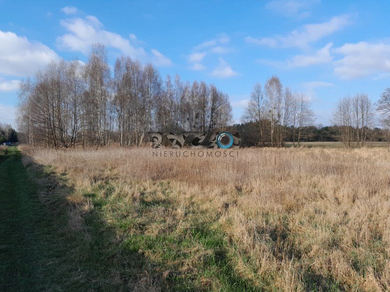 Działka budowlana na sprzedaż Nowiny, Nowiny, Nowiny  3 000m2 Foto 11