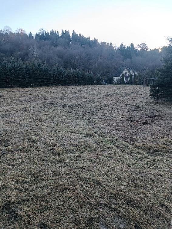 Działka budowlana na sprzedaż Lesko, Lesko  3 000m2 Foto 2