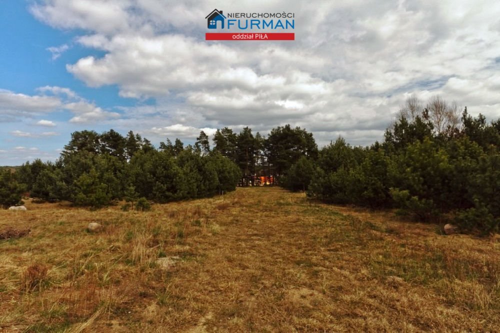 Malownicza działka 1030 m2 z uzbrojeniem i planem zagospodarowania Dobrzyca  1 030m2 Foto 1