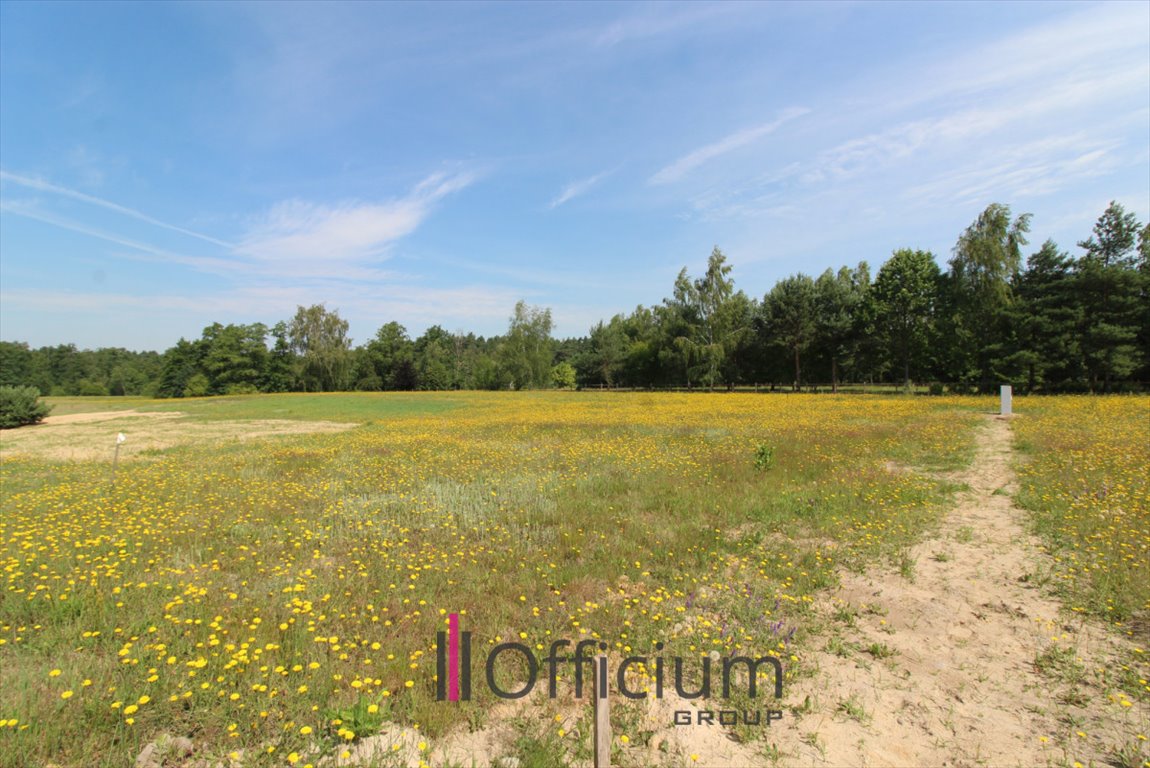 Działka budowlana na sprzedaż Gościeńczyce  3 000m2 Foto 5