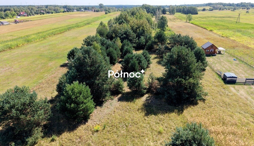Zdjęcie 2
