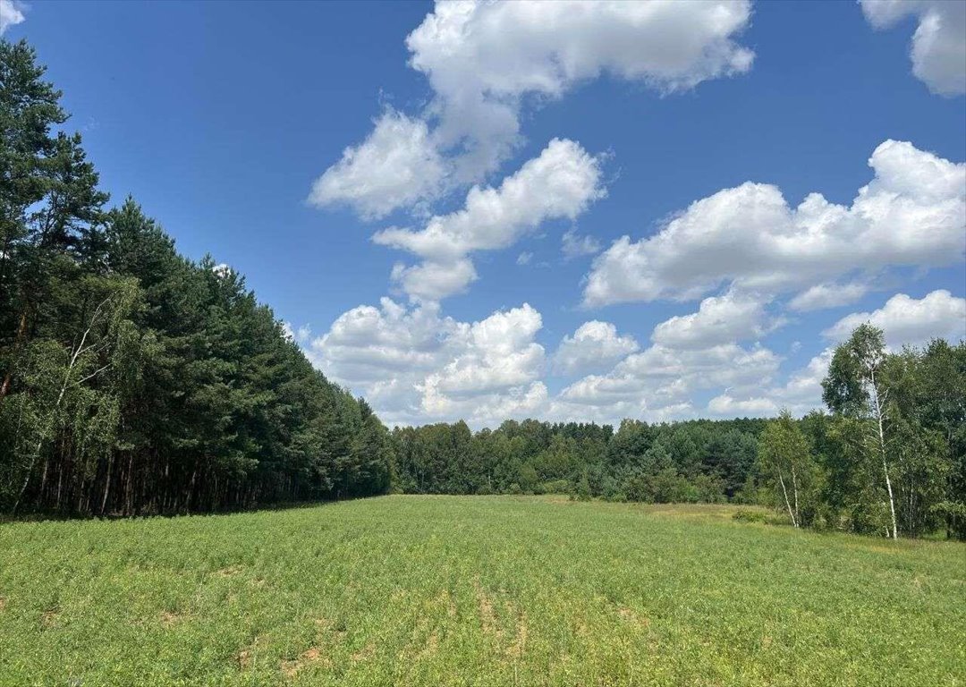 Działka rekreacyjna na sprzedaż Dworszowice Kościelne  780m2 Foto 5