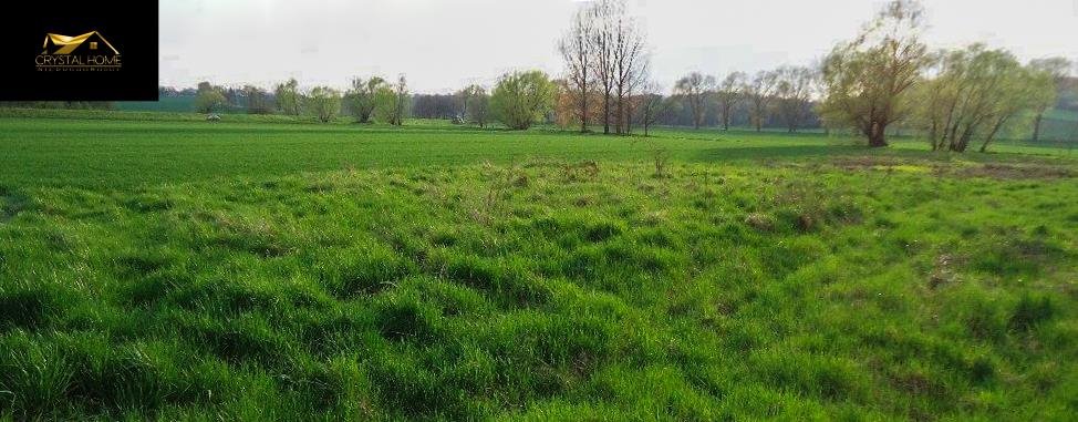 Działka pod dom wolnostojący, media, płaska, 2600 m2 Wierzbna  2 600m2 Foto 1