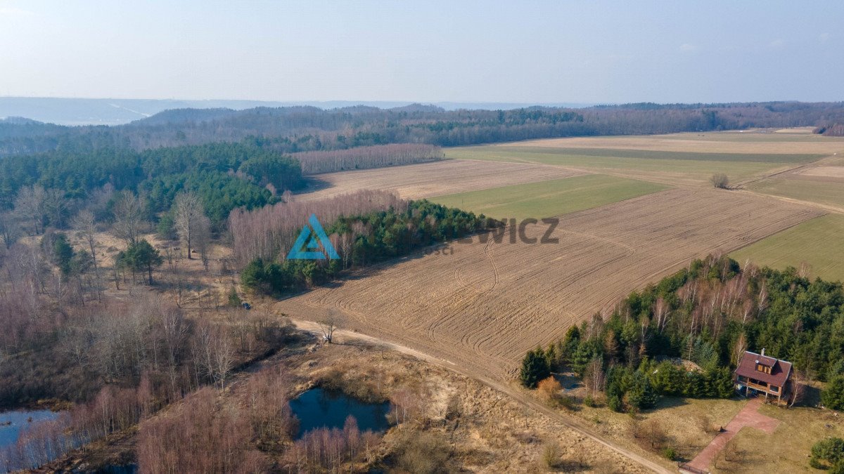 Działka rolna na sprzedaż Krokowa, Polna  10 724m2 Foto 8