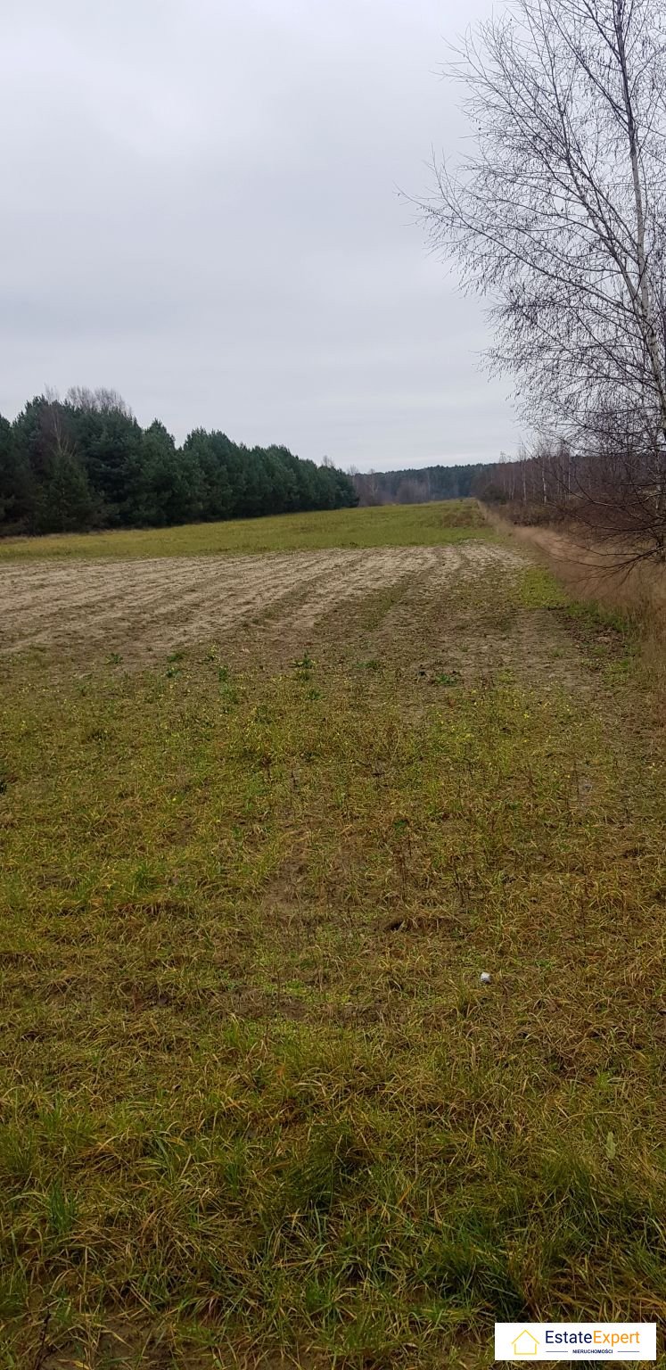 Działka rolna na sprzedaż Jeżów, Jeżów  16 600m2 Foto 5