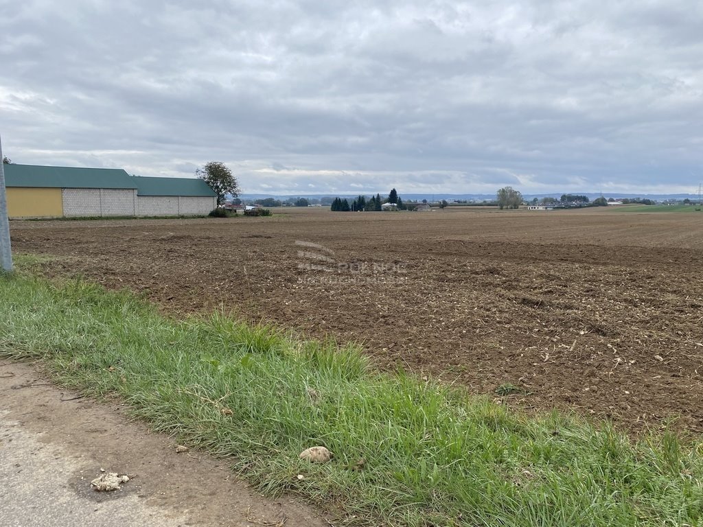 Działka budowlana na sprzedaż Jatutów  2 900m2 Foto 8