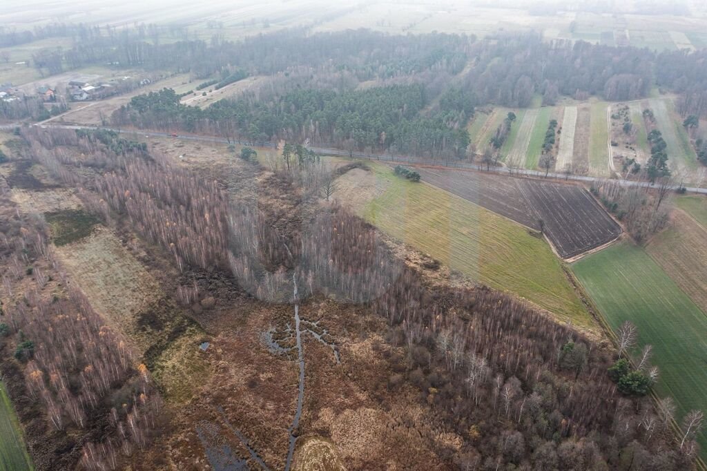 Działka komercyjna na sprzedaż Ręczaje Polskie  23 700m2 Foto 12