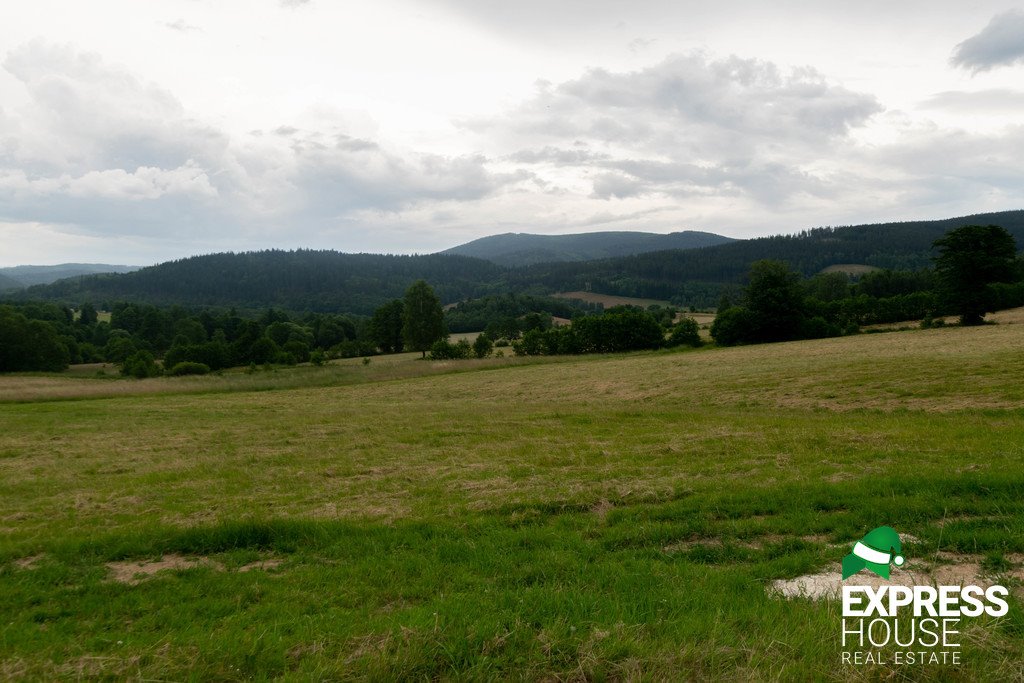 Działka budowlana na sprzedaż Stronie Śląskie, Polna  2 617m2 Foto 12