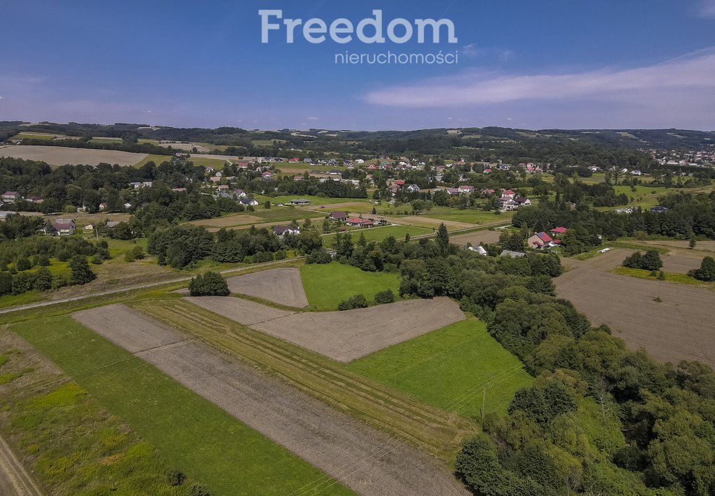 Działka rolna na sprzedaż Cieszyna  9 593m2 Foto 12